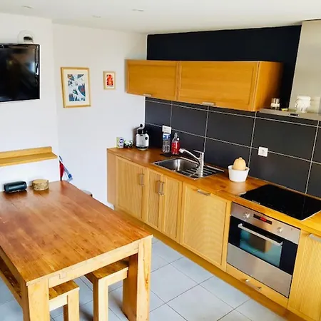 Cosy Aux Deux Alpes, Au Pied Des Pistes, Pour 4 Pers, Balcon, Parking, Proche Commodités - Fr-1-516-211