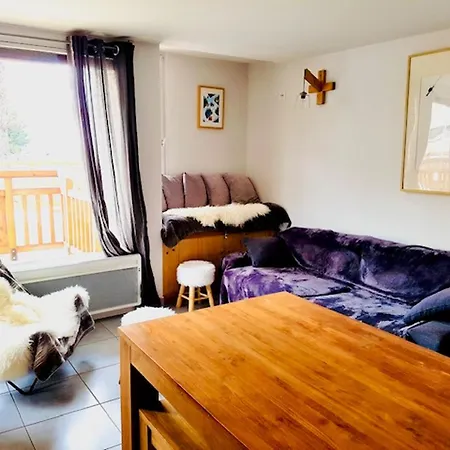 2 Pieces Au Pied Des Pistes Avec Balcon Et Casier A Appartement